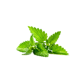 ingredient